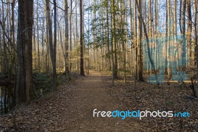 Trails In Spring Stock Photo