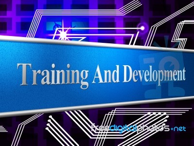 Training And Development Represents Learning Buildout And Webinar Stock Image