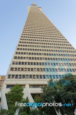 Transamerica Pyramid Stock Photo