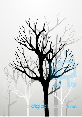 Tree Stock Image