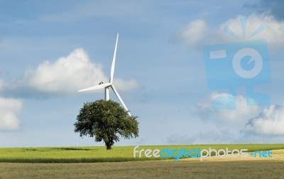 Tree And Wind Turbine Stock Photo