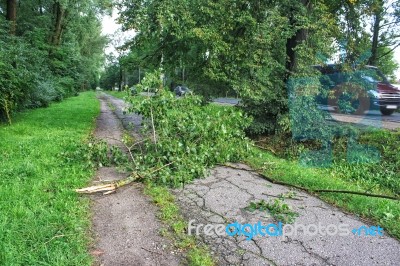 Tree Broken By A Storm Lies On The Road Stock Photo