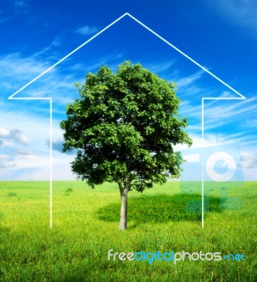 Tree Home Stock Photo