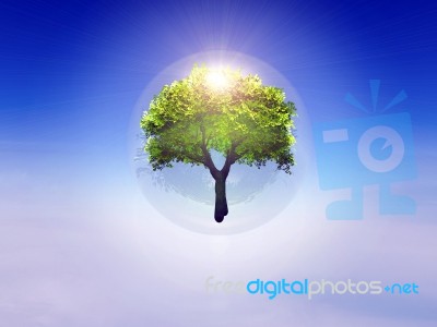 Tree In Bubble Stock Image