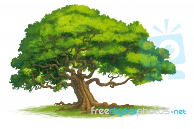 Tree Painted For Illustration Stock Image