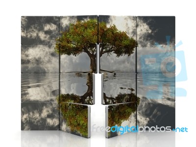 Tree Panels Stock Image