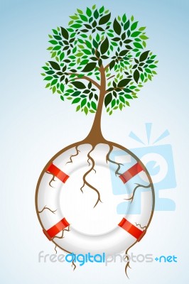 Tree With Lifebuoy Stock Image
