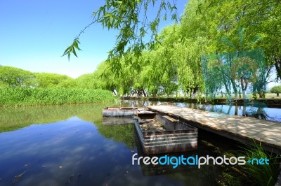 Trees And A Boat  Near The Lake And River Stock Photo