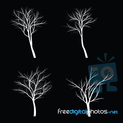 Trees With Dead Branch Stock Image