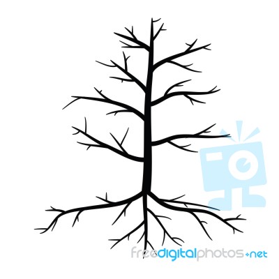 Trees With Dead Branch Stock Image