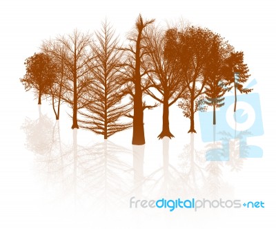 Trees2 Stock Image