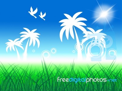 Tropical Island Shows Birds In Flight And Beach Stock Image