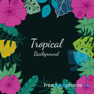 Tropical Leaves And Flowers On Dark Background. Exotic Botanical… Stock Image