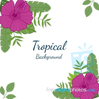 Tropical Leaves And Flowers On White Background. Exotic Botanica… Stock Image