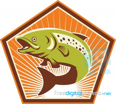 Trout Fish Jumping Retro Stock Image