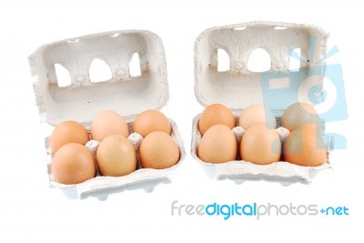 Twelve Brown Eggs Packed In Carton Boxs Stock Photo