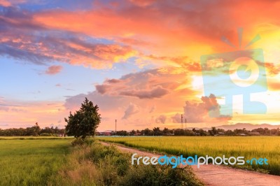 Twilight Time Sunrise Stock Photo