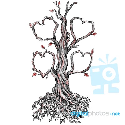 Twisted Oak Tree Heart Branch Tattoo Stock Image