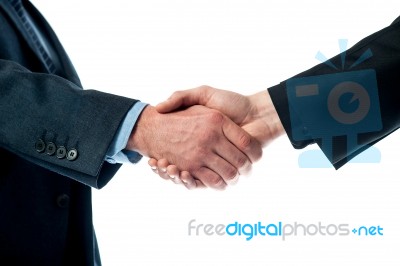 Two Business Men Shaking Hands Stock Photo
