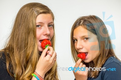 Two Dutch Teenage Girls Eating Strawberries Stock Photo