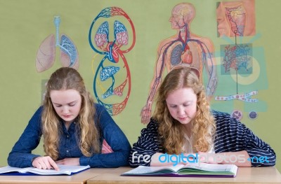 Two Dutch Teenage Girls Reading Text Books With Biology Wall Cha… Stock Photo