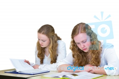 Two Dutch Teenage Girls Studying Books For Education Stock Photo