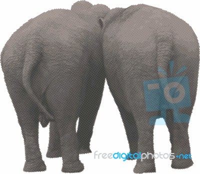 Two Elephants In The Back In A  Raster Stock Image