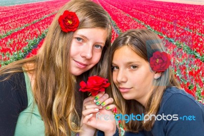 Two Girls With Red Roses In Front Of Tulip Field Stock Photo