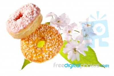 Two Glazed Donuts Stock Photo