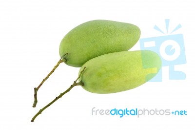 Two Green Mangos On White Background Stock Photo