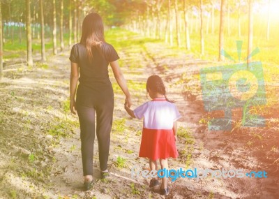 Two Hands Holding Puzzle Mother And Child,the Woman And Child Holding Hands At Sunset Stock Photo Two Hands Holding Puzzle Mother And Child,the Woman And Child Holding Hands At Sunset Stock Photo