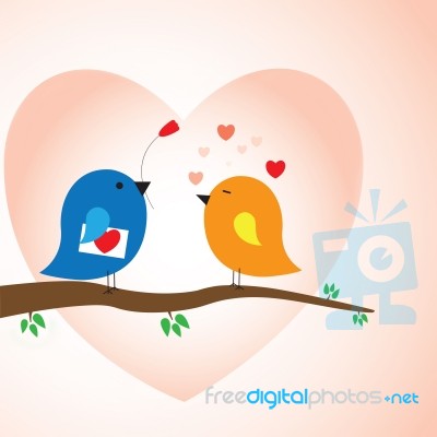 Two Love Birds Stock Image