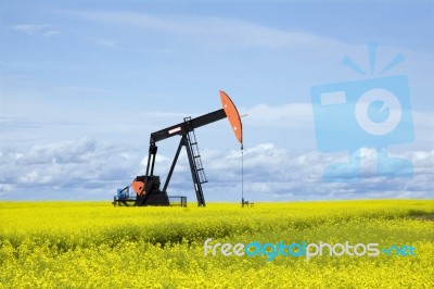 Two Oils Of Alberta Stock Photo