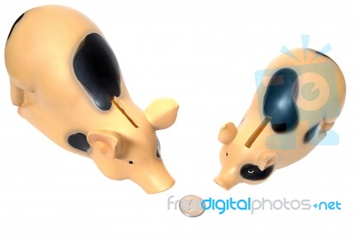 Two Pigs Found Coin Stock Photo