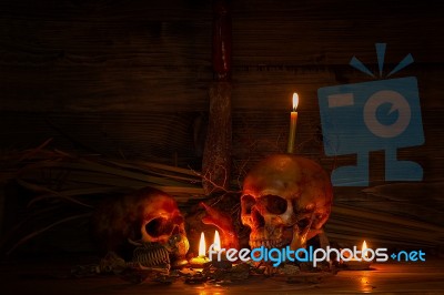 Two Skull Still Life With Knife In Dark Scene For Halloween Nigh… Stock Photo