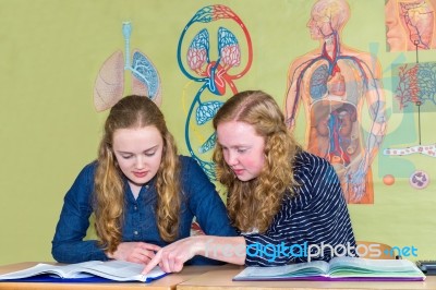 Two Students Learning With Books In Biology Lesson Stock Photo