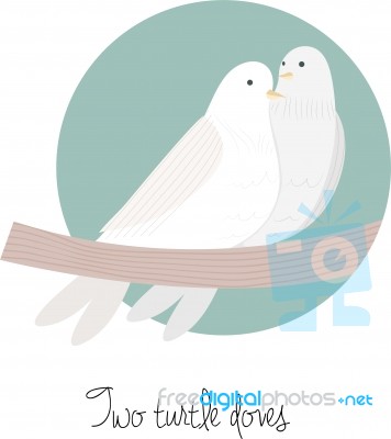 Two Turtle Doves Stock Image