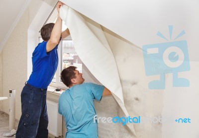 Two Workers Smoothing Wallpaper Stock Photo