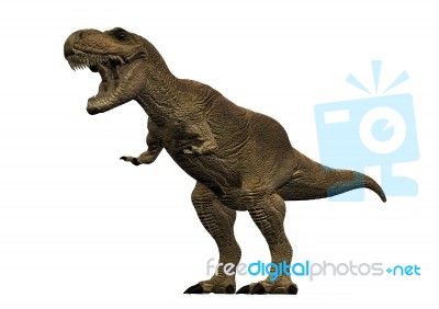 Tyrannosaurus Rex Stock Image