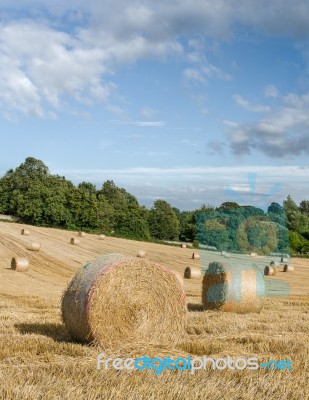 Uk Harvest Stock Photo