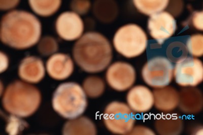 Unfocused Wooden Natural Background, Cutting Circle Logs Stock Photo