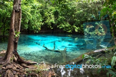 Unseen Blue Pool In Forest Stock Photo