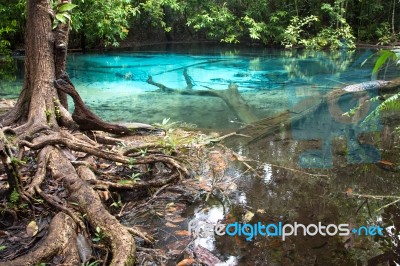 Unseen Blue Pool In Forest Stock Photo