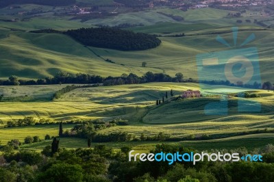 Val D'orcia In Tuscany Stock Photo