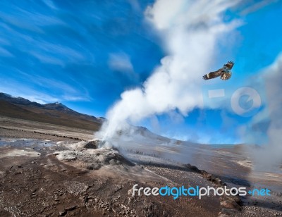 Valley Of Geysers In The Atacama Desert Stock Photo