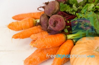 Variety Of Vegetables Grown In The Organic Garden Stock Photo