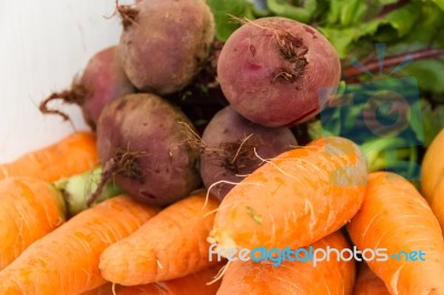 Variety Of Vegetables Grown In The Organic Garden Stock Photo