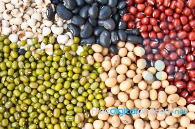 Various Colorful Dried Legumes Beans As Background Stock Photo