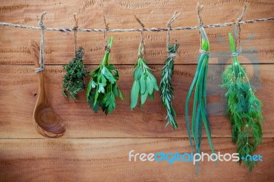 Various Herbs Hanging On Shabby Wooden Background.  Parsley ,ore… Stock Photo