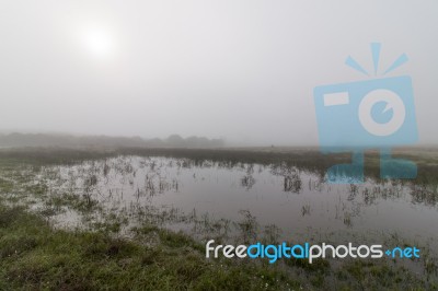 Vast Land With Rain Ponds Stock Photo